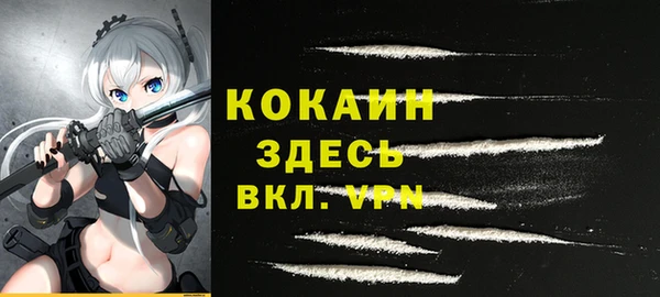 PSILOCYBIN Волосово