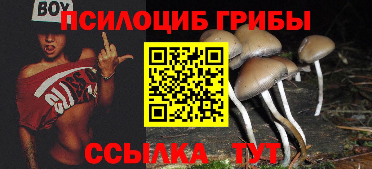 Галлюциногенные грибы GOLDEN TEACHER  Электрогорск 