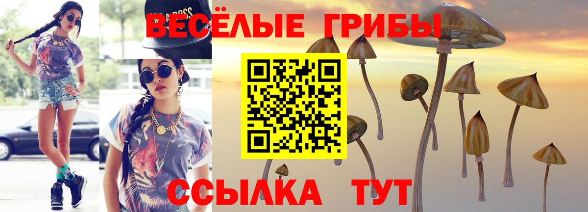 Электрогорск  Псилоцибиновые грибы мицелий  Псилоцибиновые грибы мицелий  Вход с VPN 
